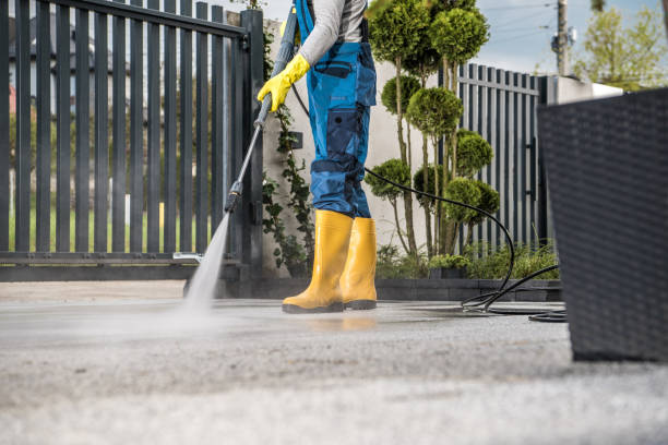 Best Gutter Cleaning  in Akron, IA